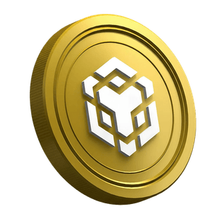 BNB cryptocurrency coin from Binance shown on the guide page for new traders